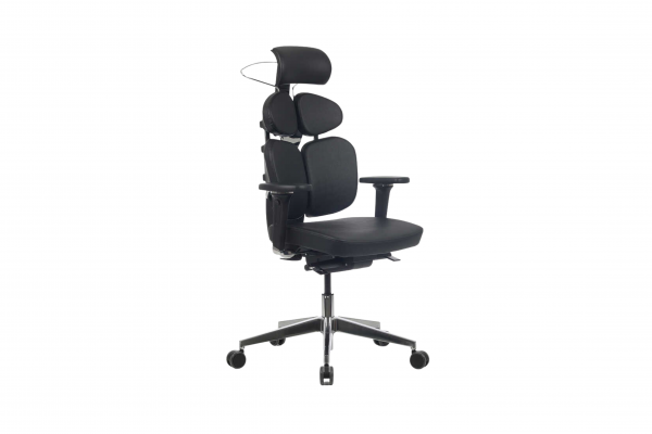 Fauteuil de Direction Banzai