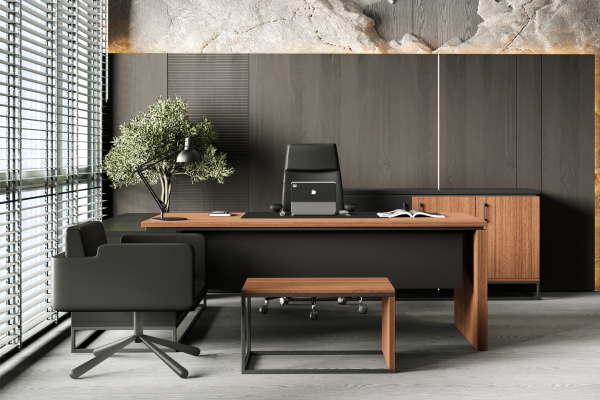 Ensemble de Direction Bose