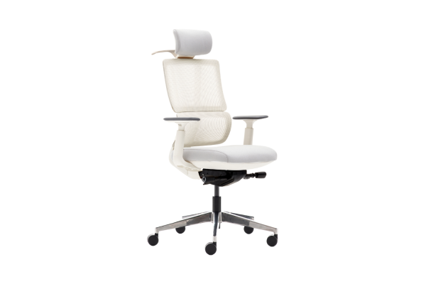 Fauteuil de Direction Duoflex