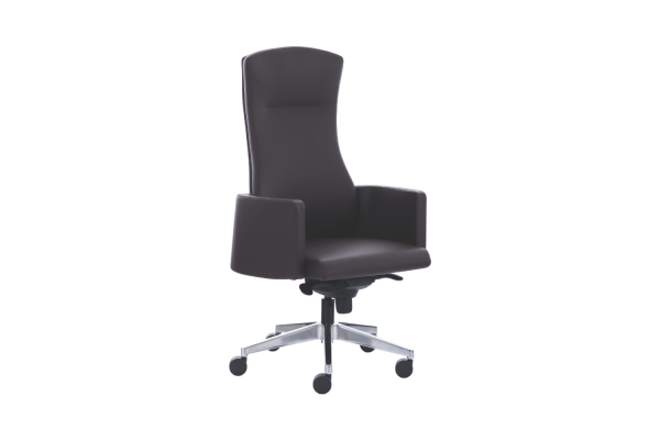 Fauteuil de Direction Élégance