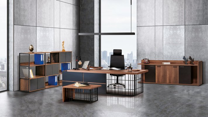Équipe Du Bureau Exécutif D´eva