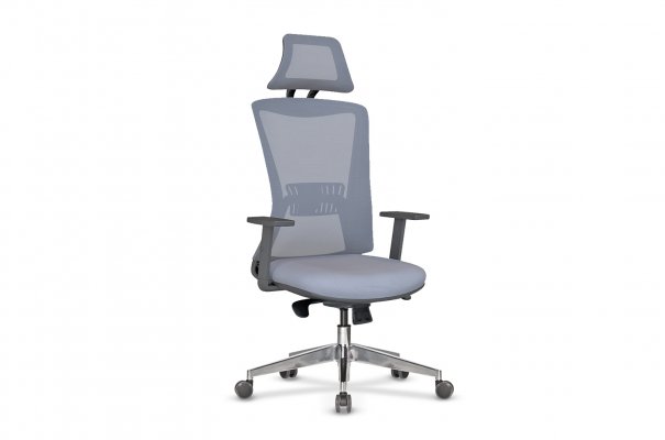 Président Exécutif Fenix