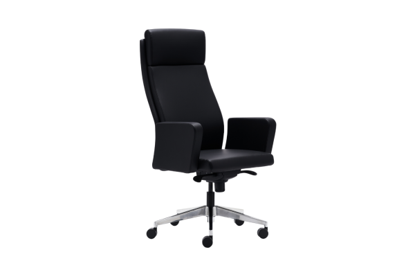Fold Executive Chair