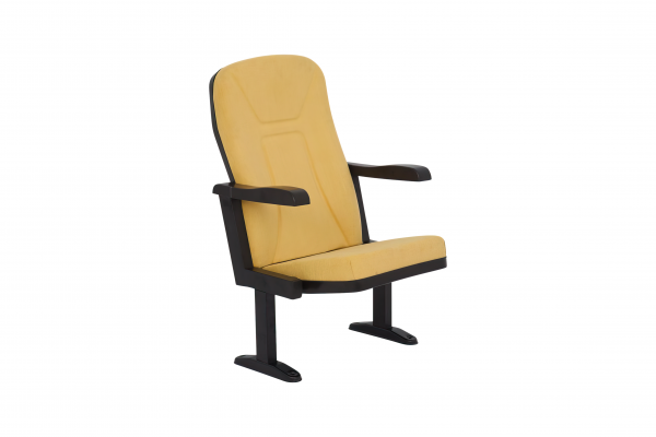 Martin Conference Chair