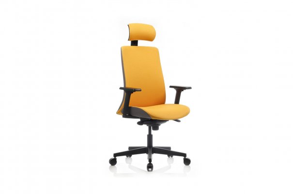 Orı 9 Svp. Pıeds, Accoudoırs Ajustables Fauteuıl de Dırectıon