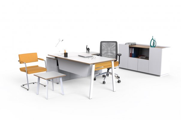 Ensemble de Bureau Du Personnel Avec Feuılle de Profıl Pivot