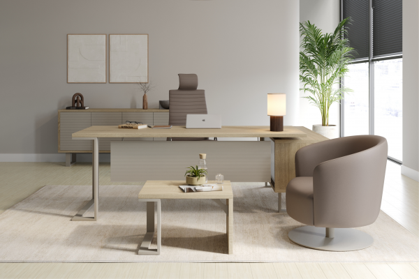 Ensemble de Bureau de Direction Zeta